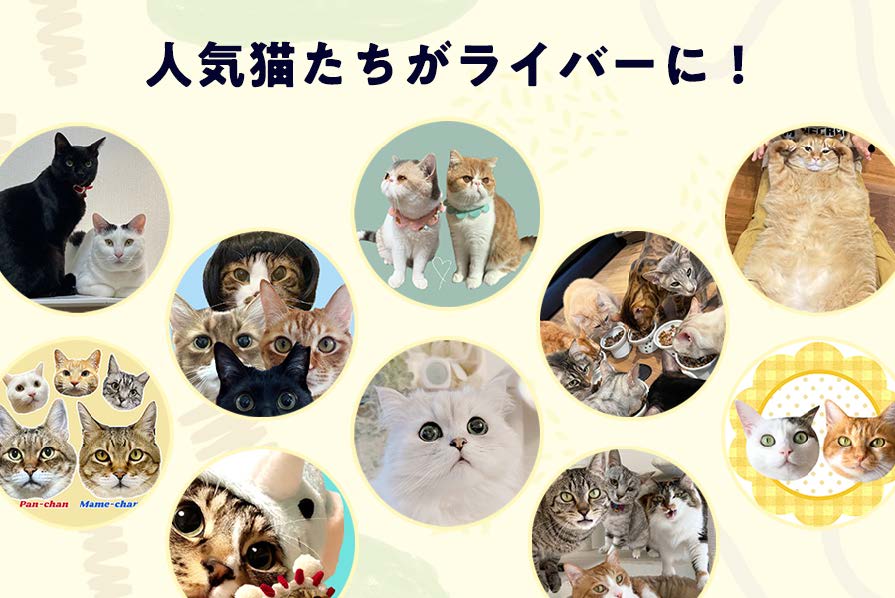 猫好きにはたまらない。猫だけのライブ配信アプリ「nekochan（ネコチャン）」